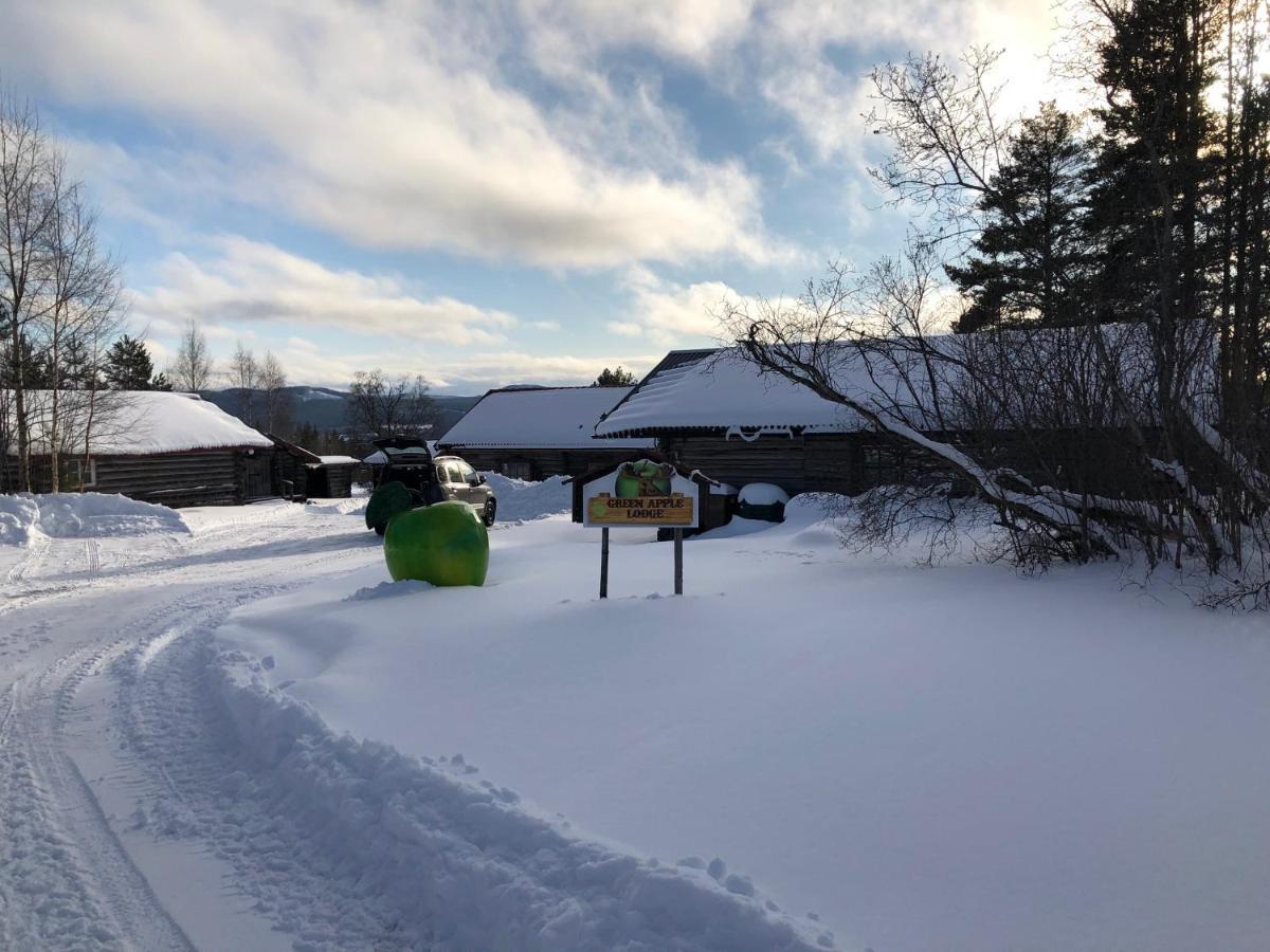 Beautiful 4-5 Persons Cottage In Alvdalen Blyberg Extérieur photo