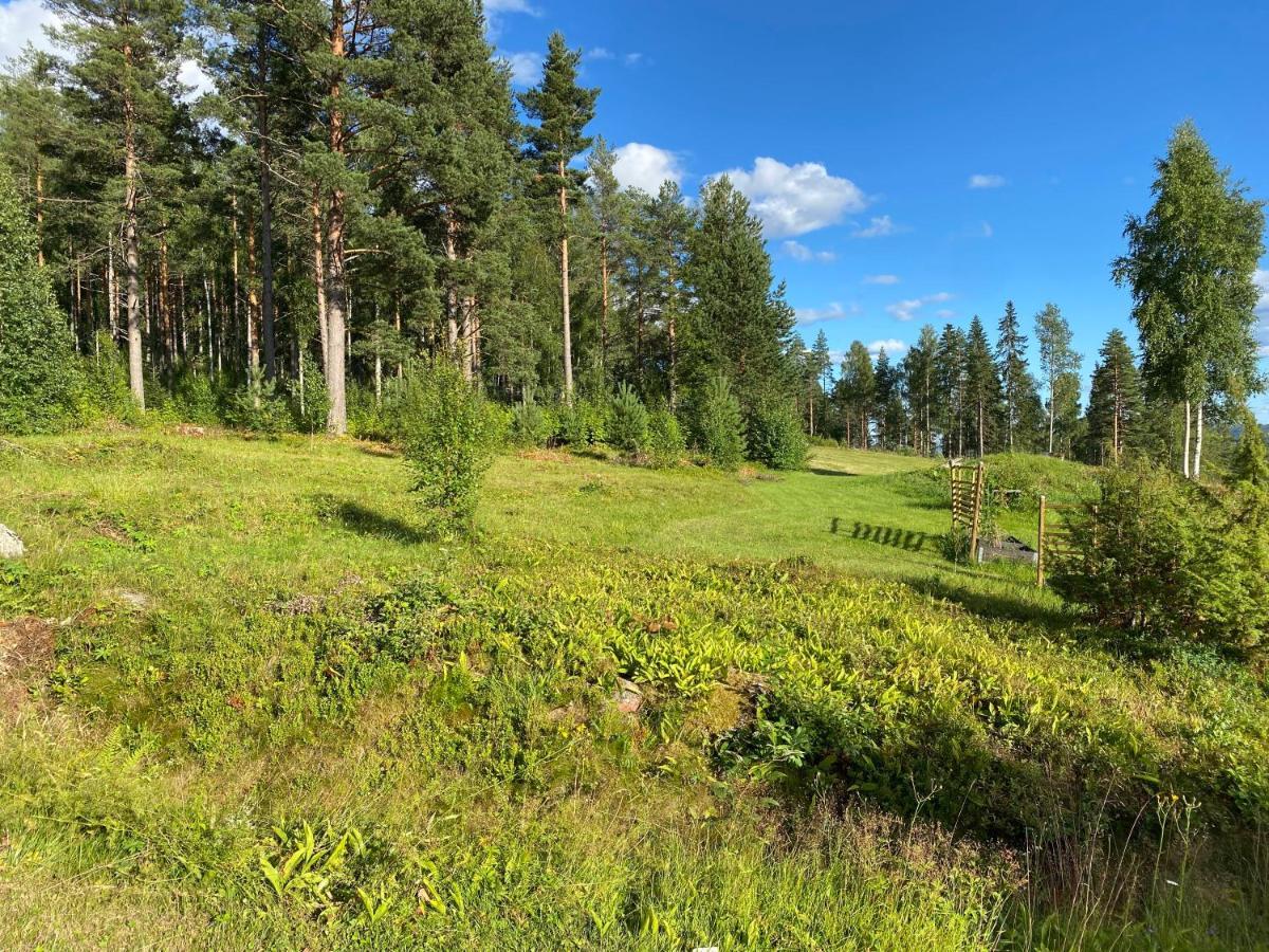Beautiful 4-5 Persons Cottage In Alvdalen Blyberg Extérieur photo