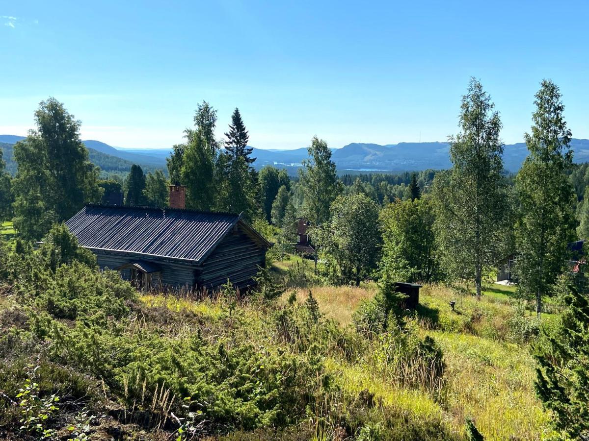 Beautiful 4-5 Persons Cottage In Alvdalen Blyberg Extérieur photo